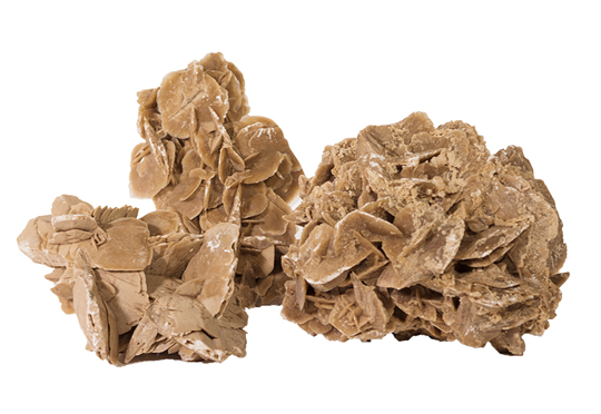 Ρόδον της Ερήμου